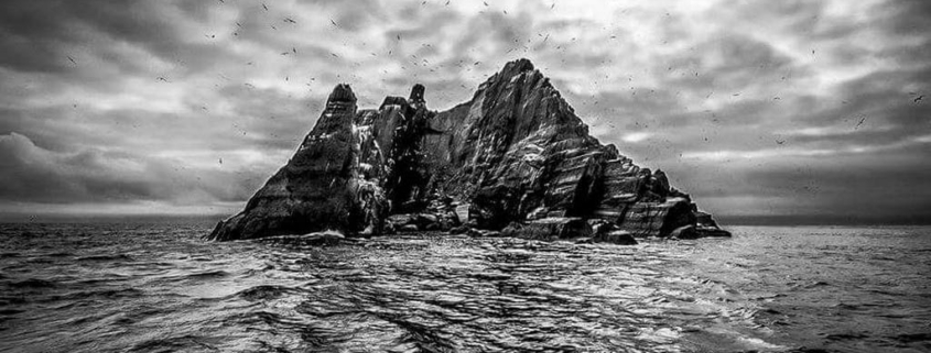 IMG-20250330-WA0011 Susan Walsh