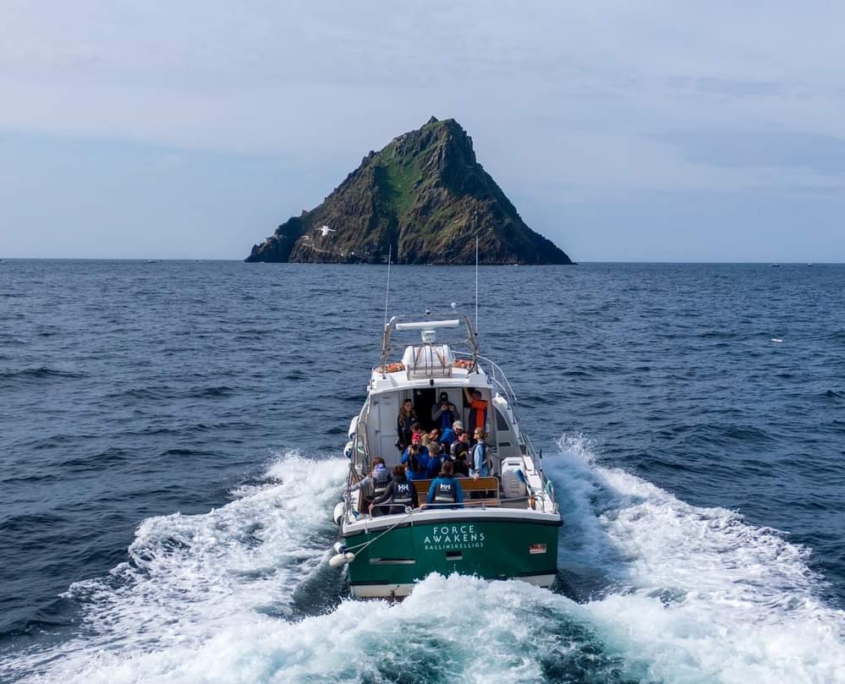 homepage 3 forceawakens Susan Walsh (1)