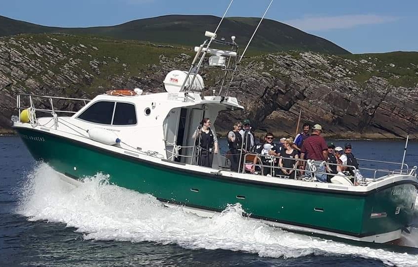 homepage forceawakens Susan Walsh (1) homepage forceawakens Susan Walsh (1)